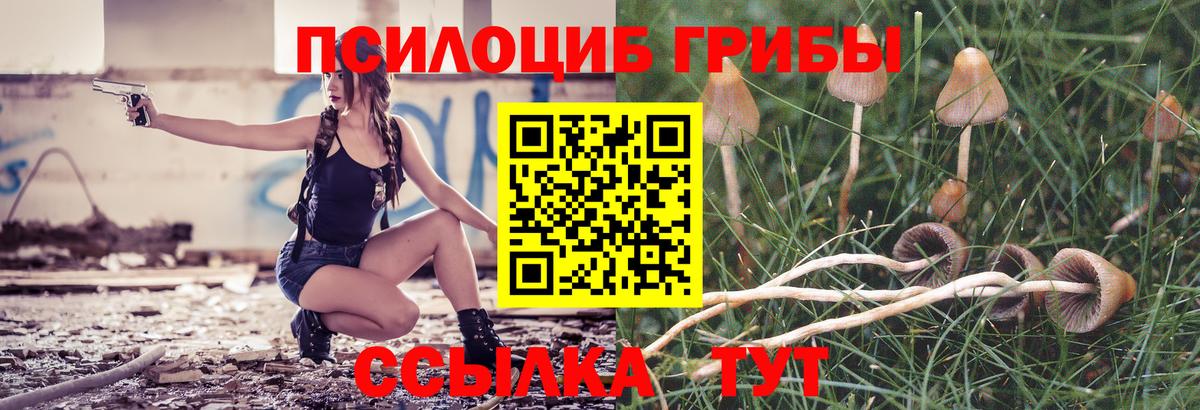 Галлюциногенные грибы Cubensis Заволжье
