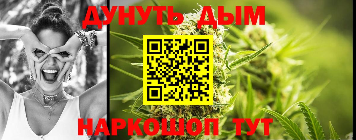 Заволжье  Каннабис White Widow  Бошки марихуана план  Вход с VPN 